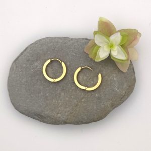 Ohrringe/Creolen 10 WAUW gold