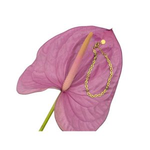 WAUW Armband Juna gold