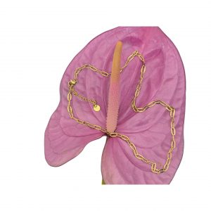 WAUW Halskette Isa gold